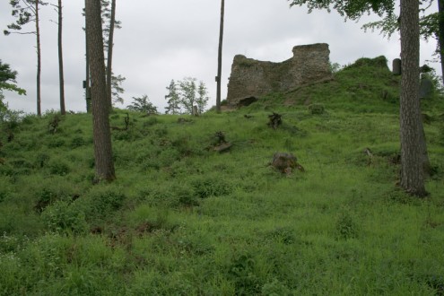 blick auf schenkenburg