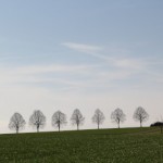 Galerie 2015_024
