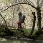 Galerie 2015_047