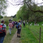 Galerie 2015_055