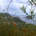 Galerie 2015_066