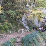 Galerie 2015_127