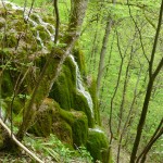 Galerie 2015_161