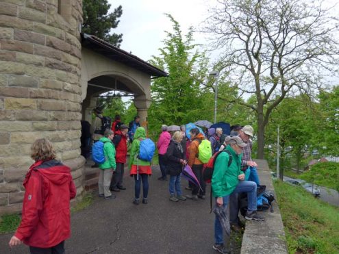 staeffele_1 staeffele_1