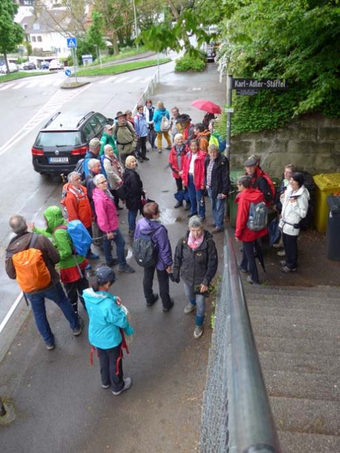 staeffele_2 staeffele_2