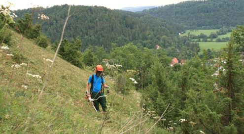 kaeppelehalde kaeppelehalde